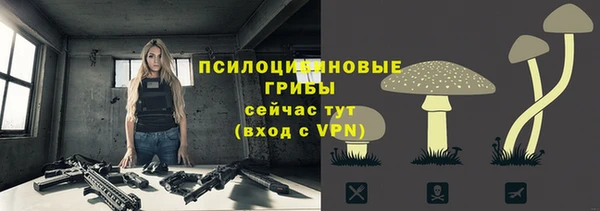 ALPHA PVP Инсар