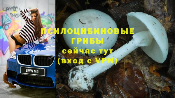 бутират Инта