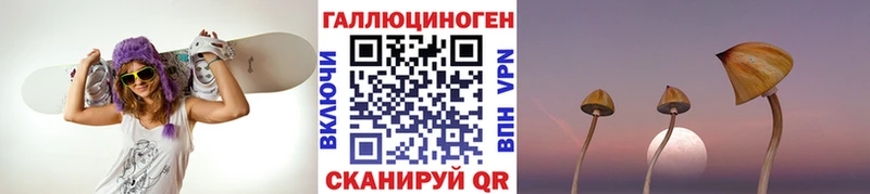 Псилоцибиновые грибы Psilocybe Истра