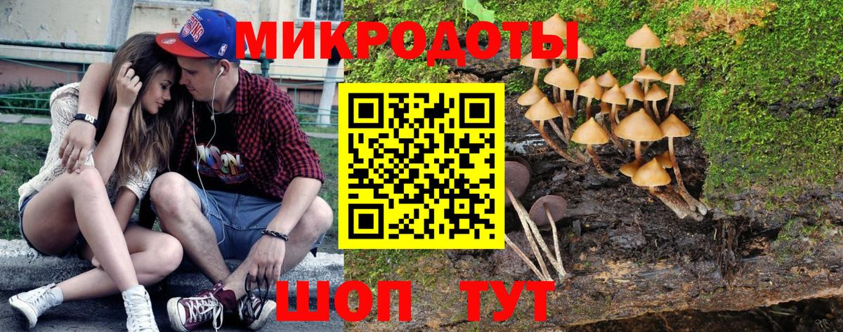 Галлюциногенные грибы прущие грибы  Вход с VPN  Истра 