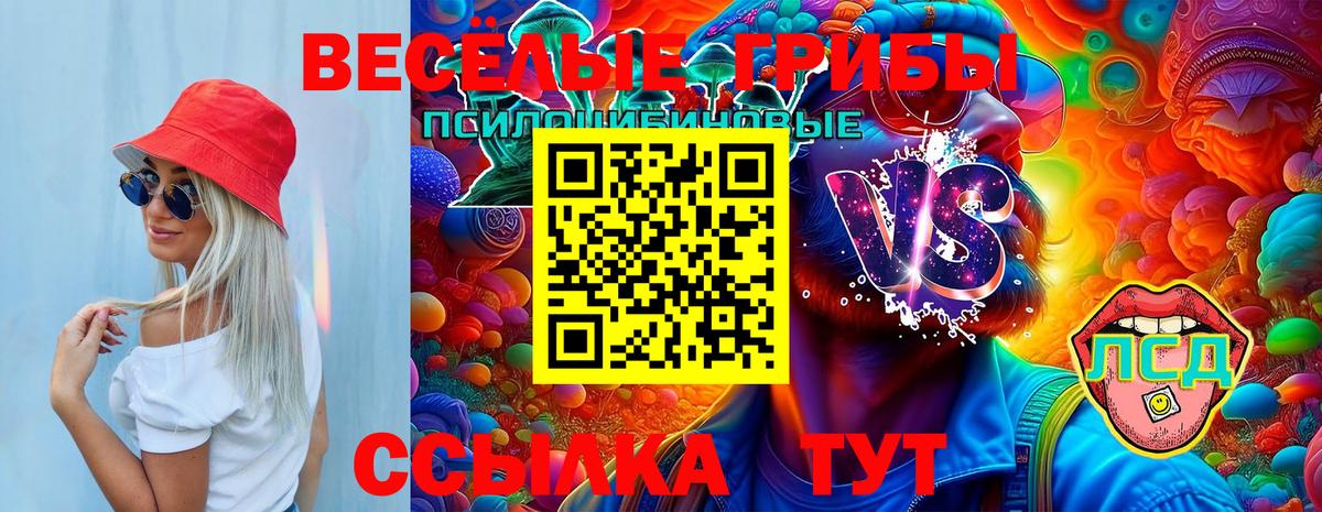 Псилоцибиновые грибы Cubensis Истра